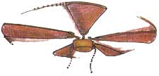 Ceiling fans can make your home feel more comfortable in the summer, so you can set the thermostat to a higher temperature.